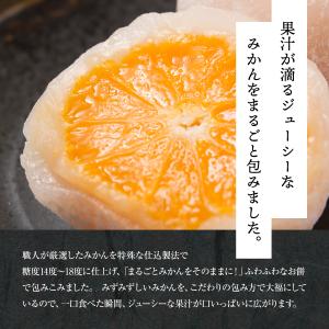まるごとみかん フルーツ大福 8個 新杵堂 ギ...の詳細画像2