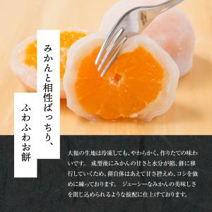 まるごとみかん フルーツ大福 8個 新杵堂 ギ...の詳細画像3