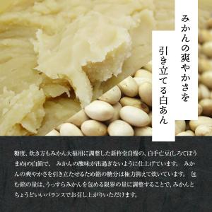 まるごとみかん フルーツ大福 8個 新杵堂 ギ...の詳細画像4