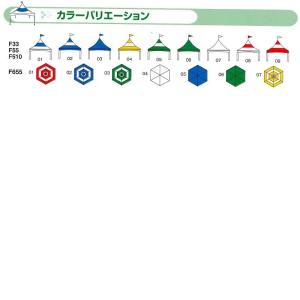 シャイニングスター FUJIF-655 フジテ...の詳細画像2