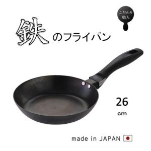 鉄 フライパン藤田金属 065700 使いやすい 鉄フライパン 20cm IH対応