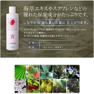 リバーヴ ZizaNia ジザニア シャンプーY 300ml【マコモ/まこも リバーヴ ZizaNia ジザニア シャンプーY 300ml【マコモ/まこも