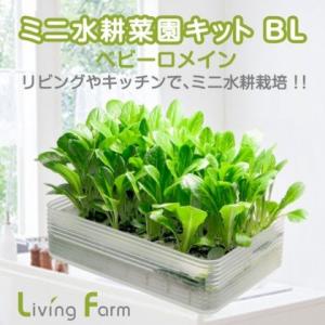 リビングファーム　LFS-326　ミニ水耕菜園キットBL ベビーロメイン【メーカー直送】【代引き/同...