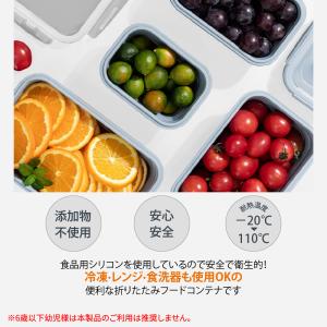 【3点セット】折りたたみフードコンテナ 冷凍・...の詳細画像2