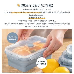 【3点セット】折りたたみフードコンテナ 冷凍・...の詳細画像3