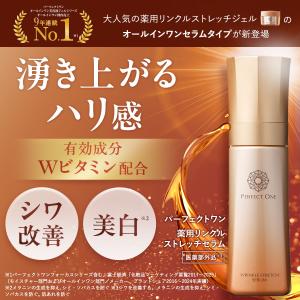 美白 シワ改善 オールインワン パーフェクトワ...の詳細画像1