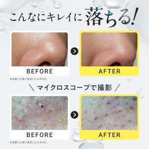リニューアル 【新日本製薬公式】 パーフェクト...の詳細画像3