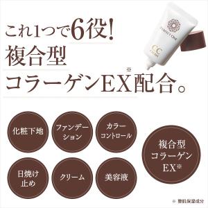 オールインワン CCクリーム パーフェクトワン...の詳細画像3