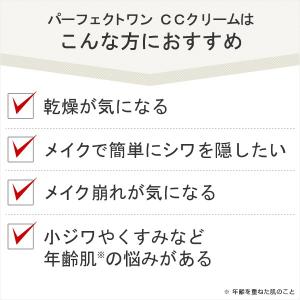 オールインワン CCクリーム パーフェクトワン...の詳細画像4