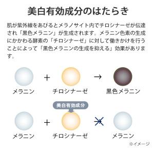 オールインワン 美白 BBクリーム パーフェク...の詳細画像4