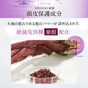 育毛剤 女性用 炭酸 薄毛 抜け毛 頭皮 レデ...の詳細画像5