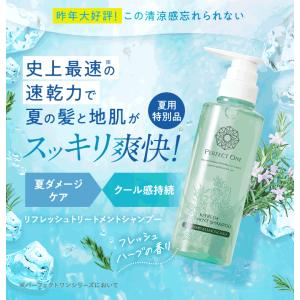 オールインワンシャンプー クール パーフェクト...の詳細画像1