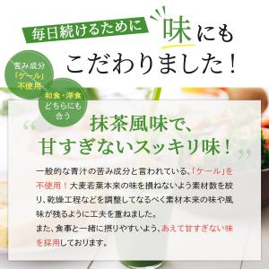 青汁 乳酸菌 Wの健康青汁 新日本製薬 公式 ...の詳細画像5
