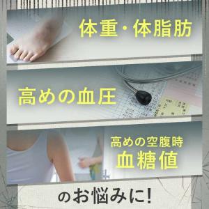 【新日本製薬公式】Wの健康青汁プラス(ハーフサ...の詳細画像1