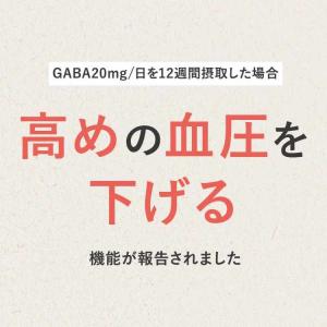 【新日本製薬公式】Wの健康青汁プラス(ハーフサ...の詳細画像3