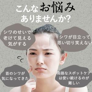 新日本製薬公式 薬用美白ケア シワ改善 オール...の詳細画像4