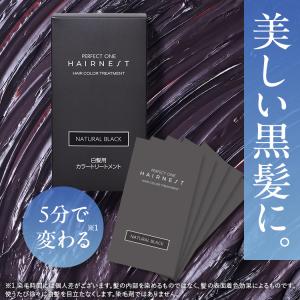 【公式】パーフェクトワンヘアネスト ヘアカラートリートメント ブラウン (コーム・手袋セット付 )1か月分｜個包装 ヘアカラー トリートメント 白髪染め 髪染め