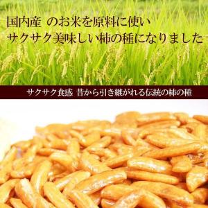 おつまみ専門店の 柿ピー 1kg 業務用 国産...の詳細画像2