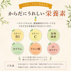 しのや ドライパイン ダイスカット ドライフル...の詳細画像3