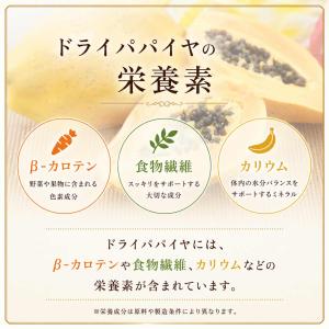 しのや ドライパパイヤ クラフトパック ドライ...の詳細画像3