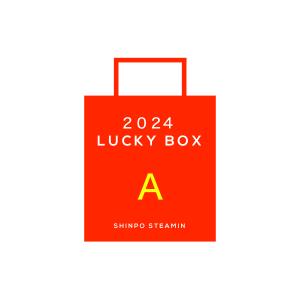 【2024福箱A】LUCKY BOX A｜SHINPO STEAMIN 衣類スチーマー｜ガーメントスチーマー｜スチームアイロン｜ファッションケア
