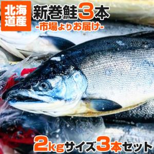 計6kg 鮭 姿 2kg×3尾 送料0円 新巻鮭 中辛 塩漬け 塩鮭 塩引き鮭 荒巻鮭 秋鮭 サケ さけ しょっぱい鮭 中元 お中元 御中元 父の日｜ウオス進風水産直営店