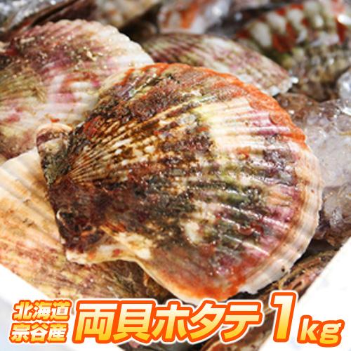 【北海道産】ホタテ 1kg | 宗谷地方 4〜6枚程度 冷凍 両貝ホタテ 帆立 殻付きホタテ 貝付き...