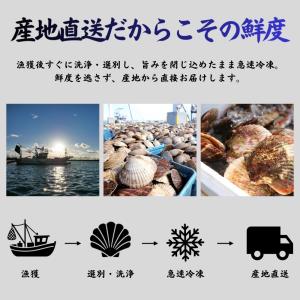 北海道産 貝付きホタテ 5kg | 稚内産 2...の詳細画像3