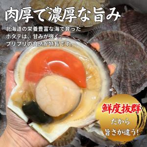北海道産 貝付きホタテ 5kg | 稚内産 2...の詳細画像2