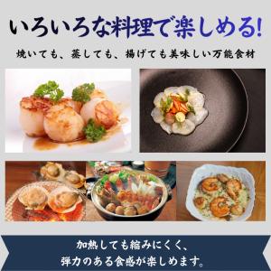 北海道産 貝付きホタテ 5kg | 稚内産 2...の詳細画像4