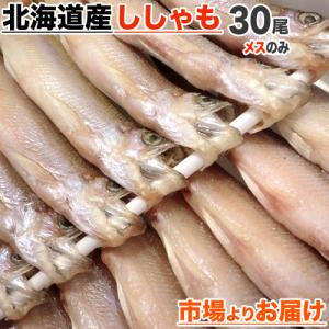 北海道産 本ししゃも メス30尾 送料0円 本物ししゃも ししゃも シシャモ Shishamo 柳葉魚 道産ししゃも 干物 魚 肴 中元 お中元 父の日｜shinpu