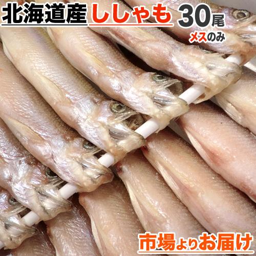 北海道産 本ししゃも メス30尾 本物ししゃも ししゃも シシャモ Shishamo 柳葉魚 道産し...