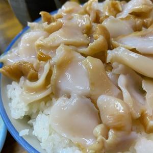 つぶ貝剥き身 1kg | つぶ貝 白つぶ 白ツ...の詳細画像2