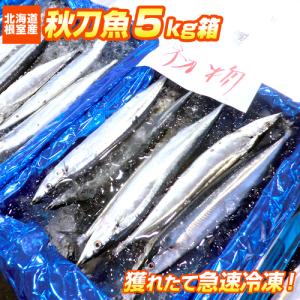 今が旬！ ピチピチ 秋刀魚 5kg箱 50尾前後 サンマ 北海道 根室 さんま 魚仕入れ 水産仕入 BBQ 塩焼き 業務用