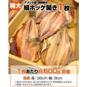 特大しまホッケ 1枚 1尾600g前後 縞ホッ...の詳細画像1