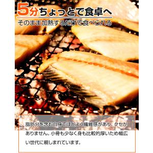 特大しまホッケ 1枚 1尾600g前後 縞ホッ...の詳細画像2