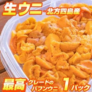 塩水うに 100g ×1 小樽・余市産 ウニ うに 雲丹 海栗