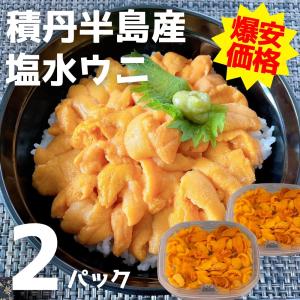 訳あり 塩水うに (白) 2個セット (100g×2) 北海道 積丹半島産 【山森漁業部】2026年度 ムラサキウニ 産直 ウニ 雲丹