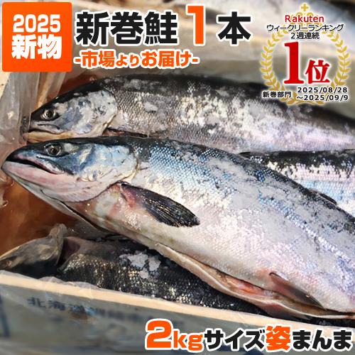 新巻鮭 2kg 1尾 送料0円 令和7年 新物 塩鮭 姿 鮭 北海道産 秋鮭 一本もの シャケ しゃ...