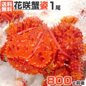 花咲ガニ 1尾  1kg前後 送料0円 花咲蟹 ハナサキガニ