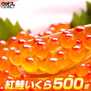 いくら 醤油漬け 500g 粒は小さいけど味は抜群！ 紅鮭 イクラ いくら醤油漬け 業務用 中元 お中元 爆買 爆買い 父の日
