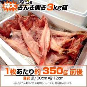特大 きんき開き 6枚 きんき 干物きんき 開...の詳細画像1