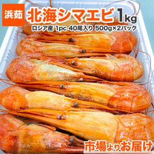 北海シマエビ 1kg 80尾前後 シマエビ 縞エビ 北海縞エビ しまえび エビ えび 海老 贈り物 中元 お中元 御中元 父の日ギフト｜shinpu