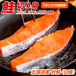 北海道産 鮭 切身 10キレ 送料0円 | 甘塩 秋鮭 白鮭 さけ しゃけ サケ 切身 シロサケ 秋鮭半身 鮭半身 中元 お中元 御中元 父の日