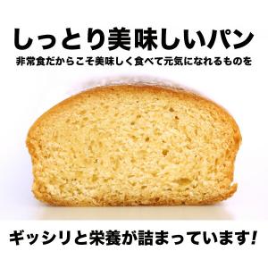 非常食 保存食 防災食品 パン ライフブレッド...の詳細画像3