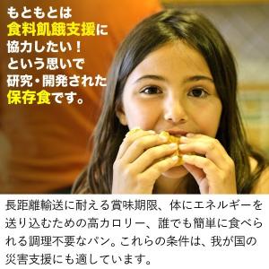 非常食 保存食 防災食品 パン ライフブレッド...の詳細画像4