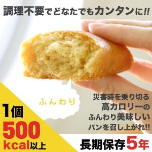 非常食 保存食 防災食品 パン ライフブレッド...の詳細画像5