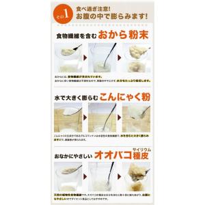 【ゆうパケットでお届け】 お試し ダイエットク...の詳細画像2