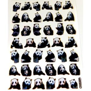 キラキラシール　パンダ　★★