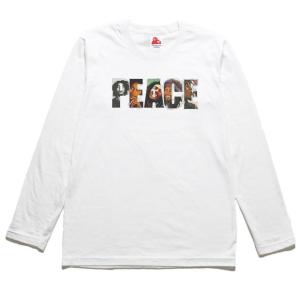 NOFX ノーエフエックス 音楽Tシャツ ロックTシャツ バンドTシャツ 長袖